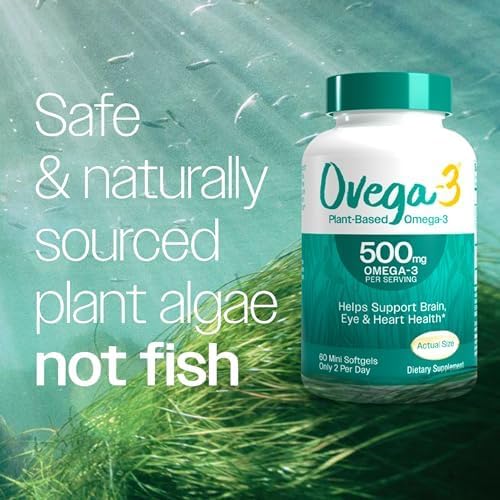 OVEGA-3 Plant-Based Omega-3 from Algal Oil Daily Supplement, 500mg, Supports Brain, Eye & Heart Health, Two mini softgels per Day, 60 Count